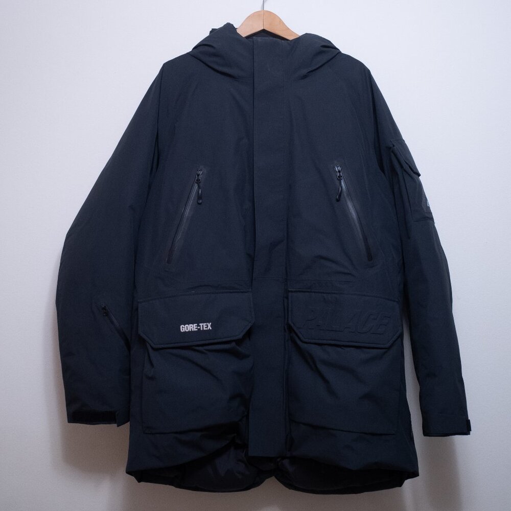 Palace Arctic Gore-tex down parka